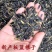 新品板蓝根种子药材籽药材种苗大青叶种子种子