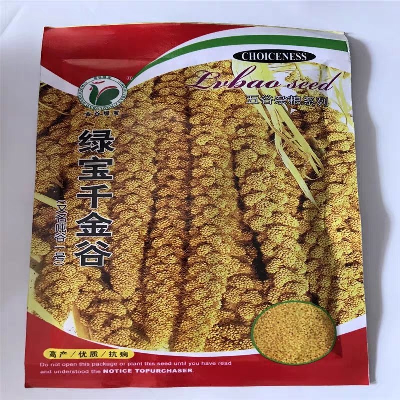 绿宝千金谷种子谷种谷子种籽抗鸟红钙谷糯小米黄谷红种子