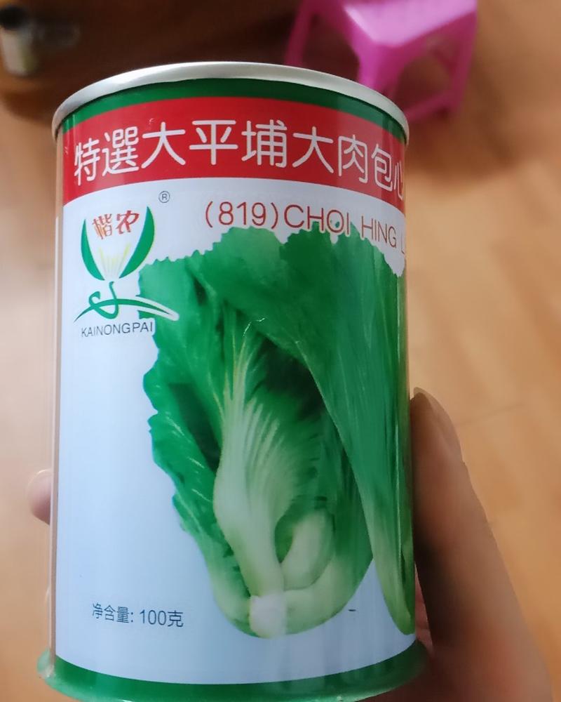 厂家直销大坪埔包心芥菜种子100克常年供应全国发货
