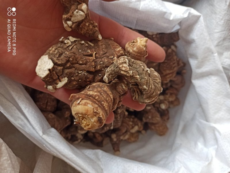 重楼七叶一枝颠重楼可打粉各种规格干货