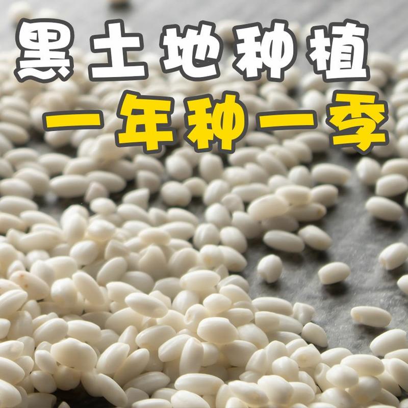 2019新糯米，江边粘大米，不粘包退，质量保证