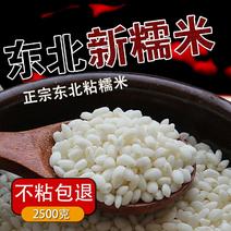 2019新糯米，江边粘大米，不粘包退，质量保证