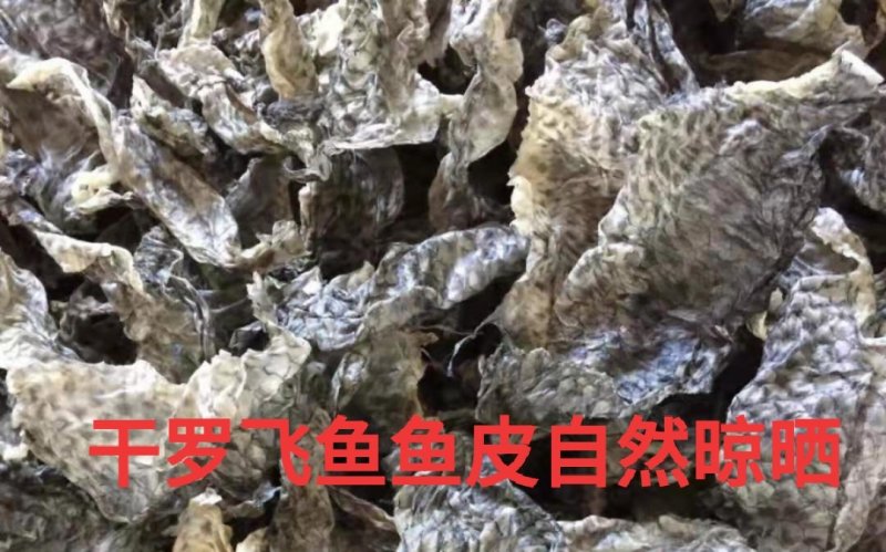 干罗飞鱼鱼皮做泡椒鱼皮用家干罗飞鱼鱼皮做泡椒鱼皮用家