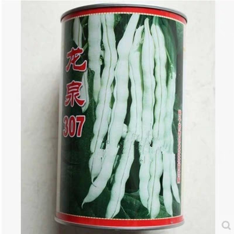 白芸豆种子早熟品种豆角扁豆蔬菜孑阳台四季豆盆栽