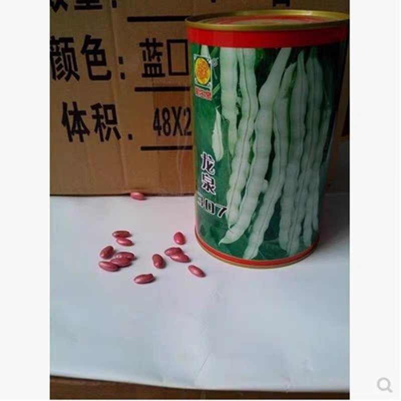 白芸豆种子早熟品种豆角扁豆蔬菜孑阳台四季豆盆栽