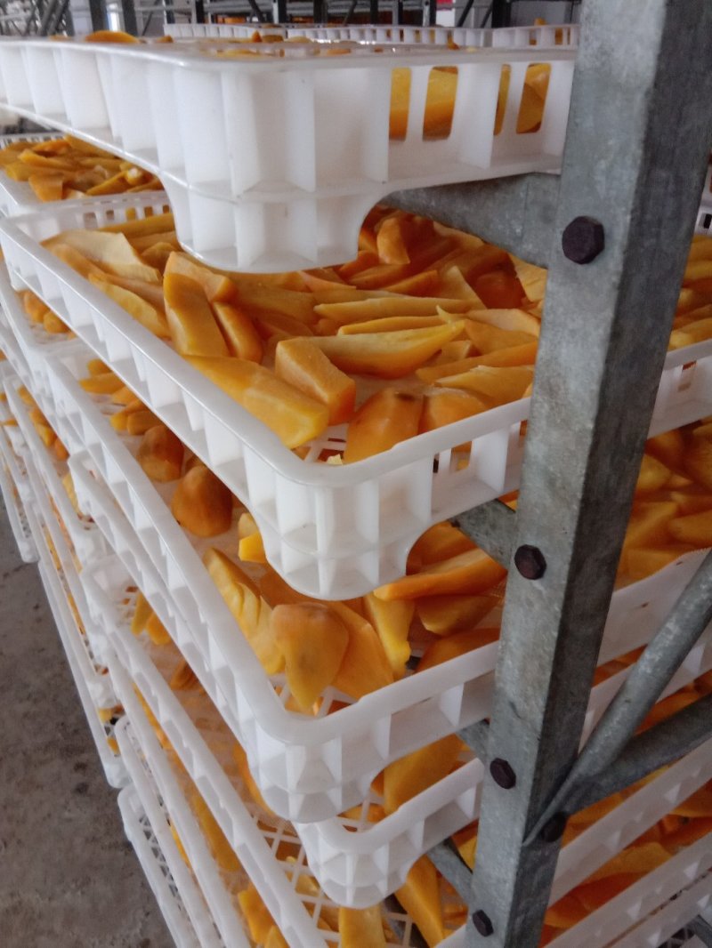 主营红术干(番薯干)柿饼，莲藕，马蹄等广西桂林农产品