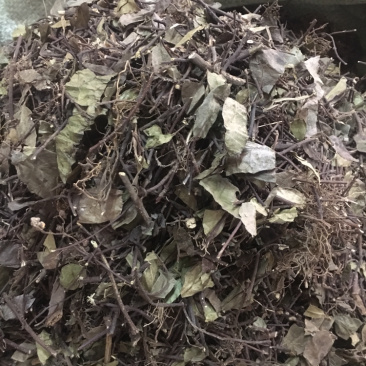 络石藤中药材批发量大包邮