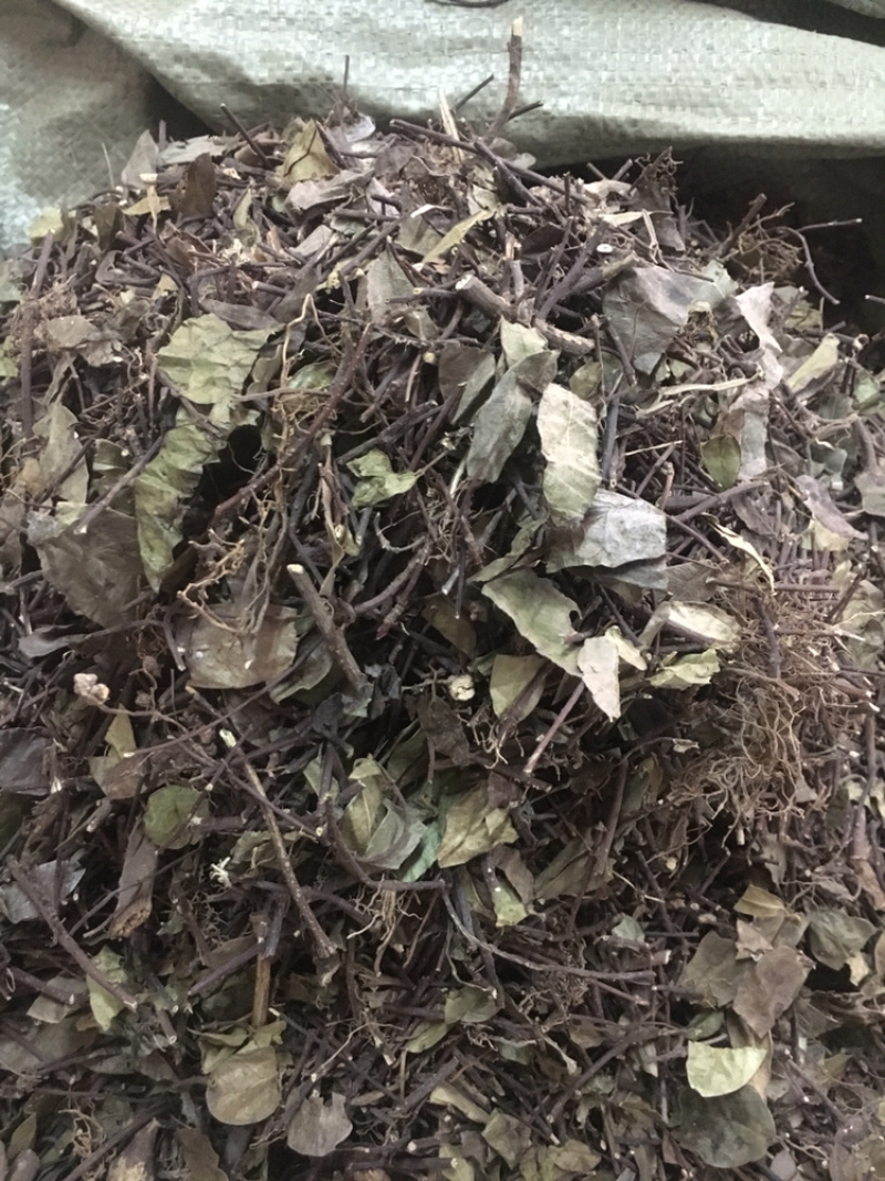络石藤中药材批发量大包邮