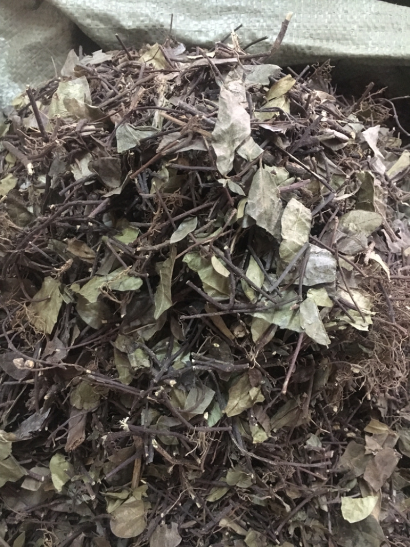 络石藤中药材批发量大包邮
