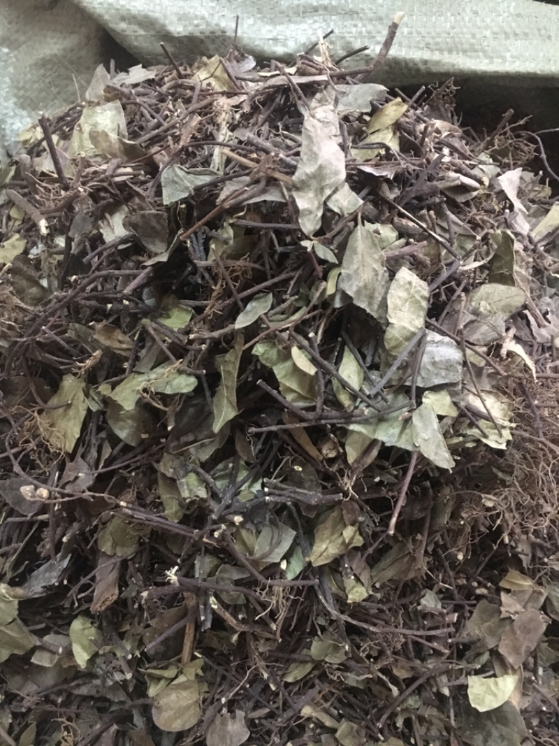 络石藤中药材批发量大包邮
