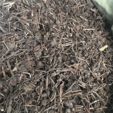 大头陈中草药批发量大包邮大头陈无硫药材足干