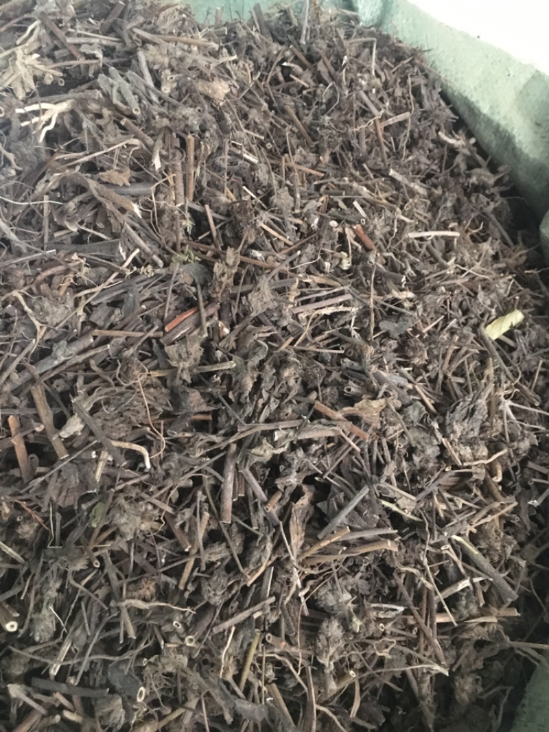 大头陈中草药批发量大包邮大头陈无硫药材足干