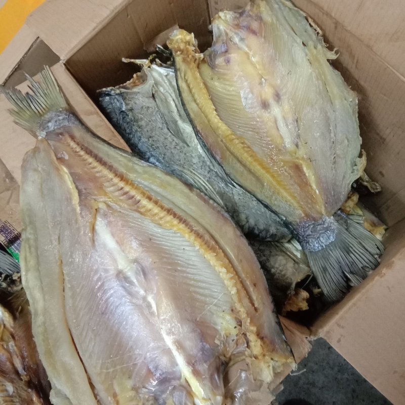 草鱼干腊鱼干皖鱼干咸鱼干