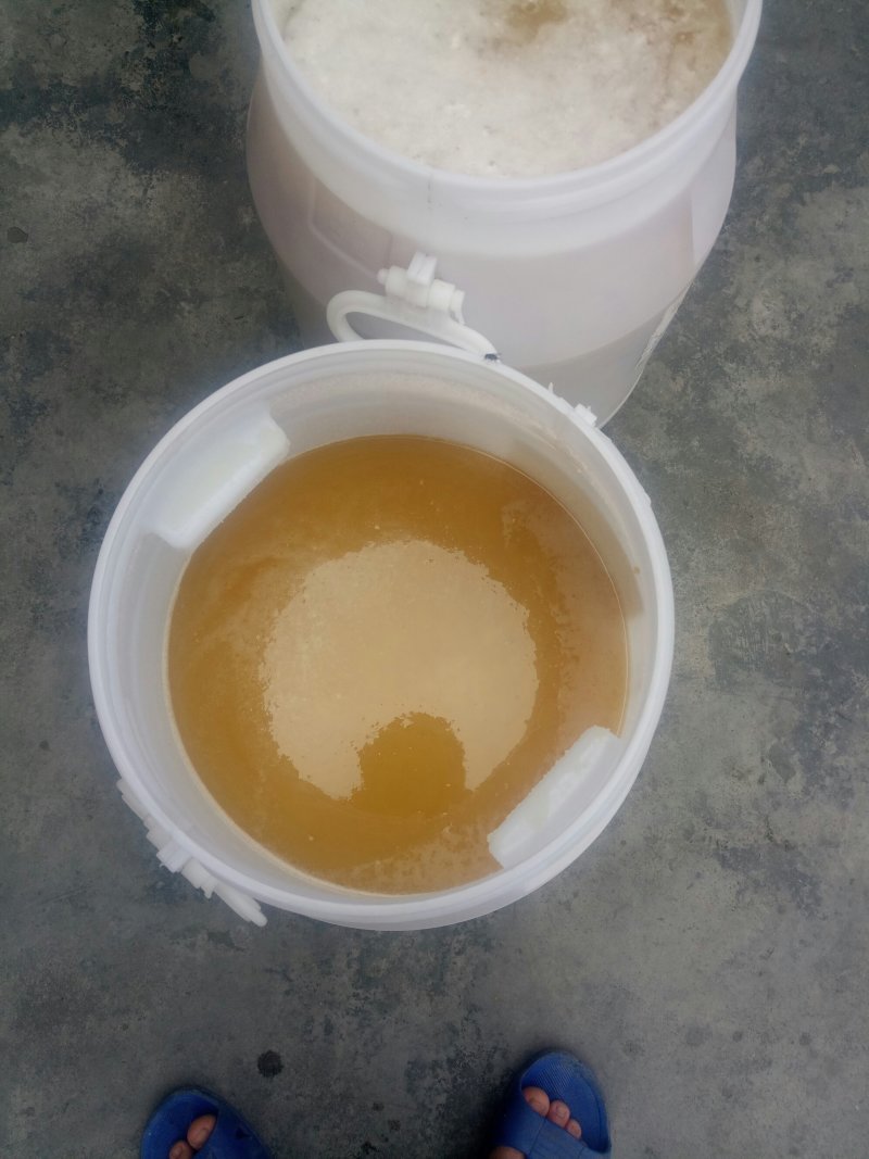 靓货，鸭脚木蜜，冬蜜，数量有限