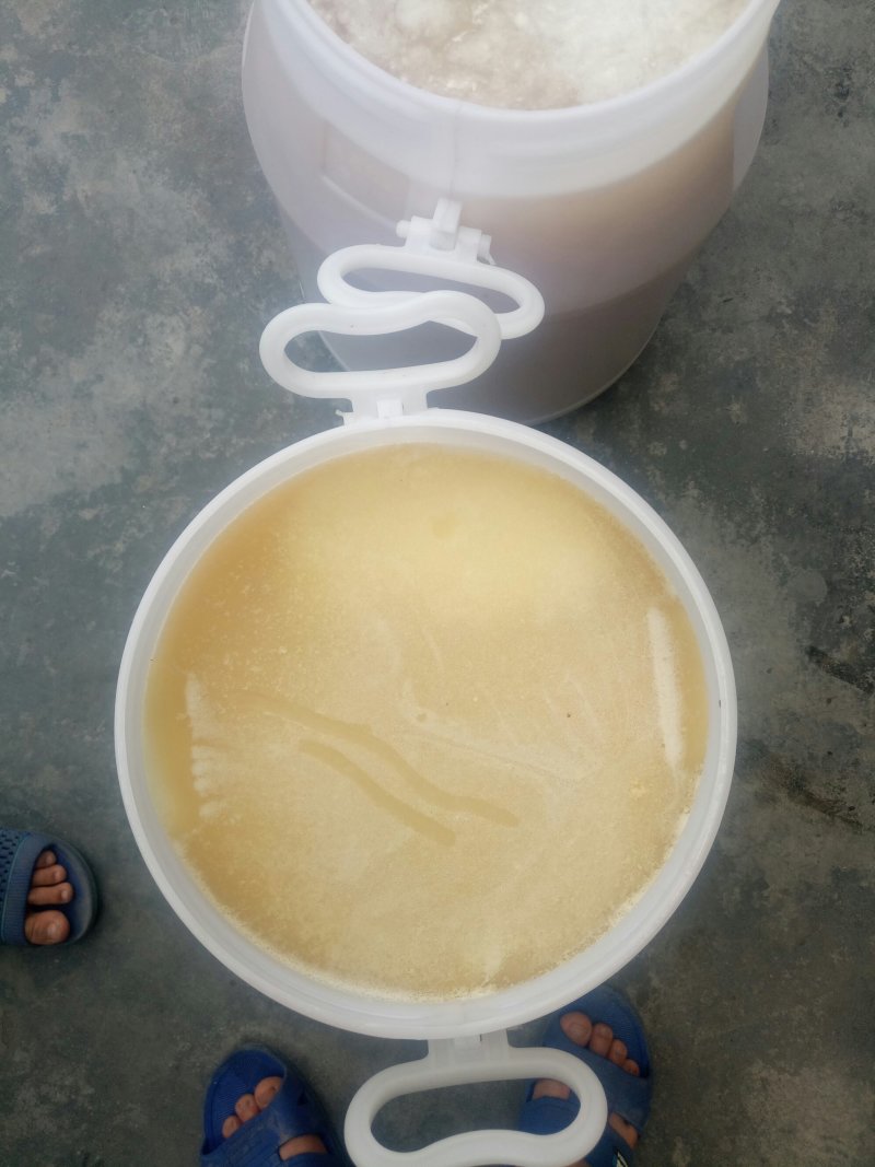 靓货，鸭脚木蜜，冬蜜，数量有限