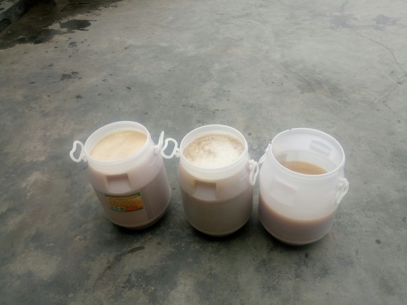 靓货，鸭脚木蜜，冬蜜，数量有限