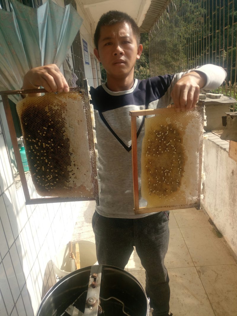 靓货，鸭脚木蜜，冬蜜，数量有限