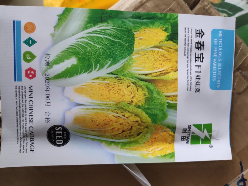 金春宝娃娃菜种子早熟黄心耐抽苔