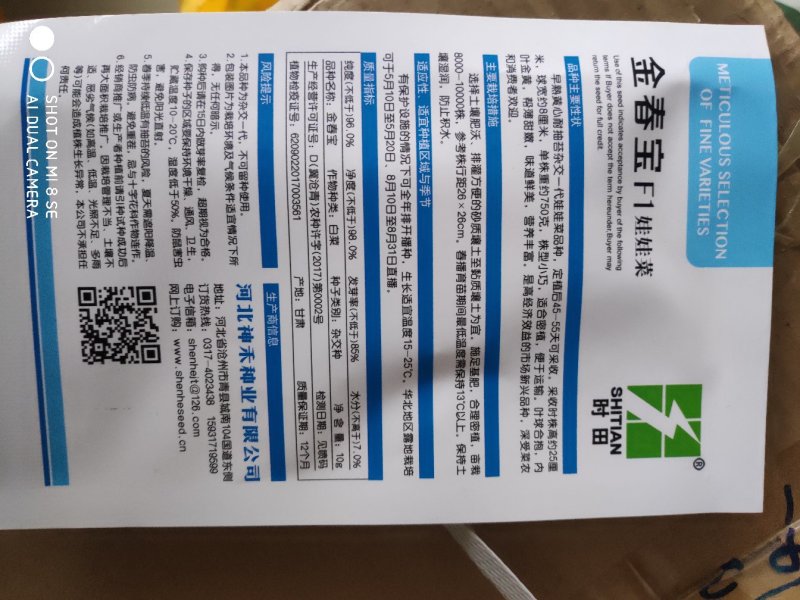 金春宝娃娃菜种子早熟黄心耐抽苔