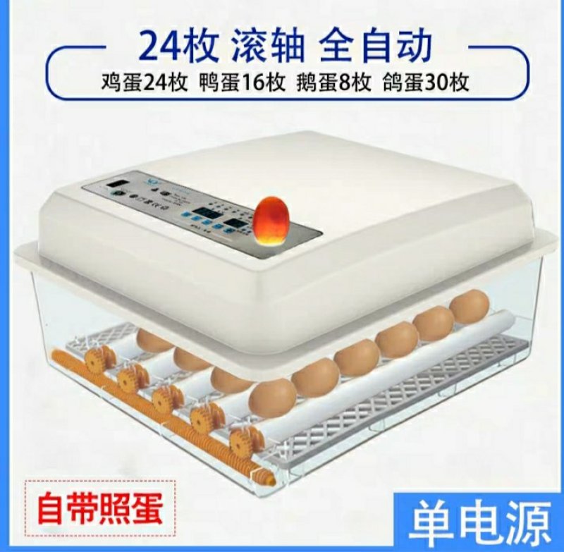 新伟达水床孵化机全自动小型家用型孔雀孵蛋器鸭鹅鸽子小鸡孵
