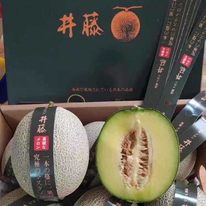 【网红水果】日本引进品种海南玫珑蜜瓜，软蜜瓜，网纹瓜