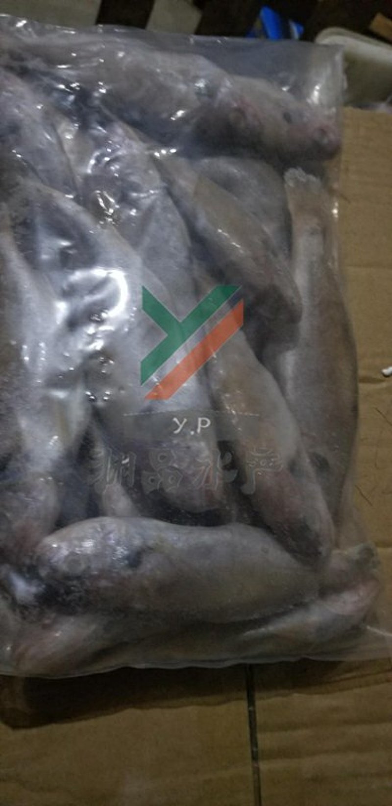【渊品水产】养马岛海捕鮸鱼白米鱼灰米鱼