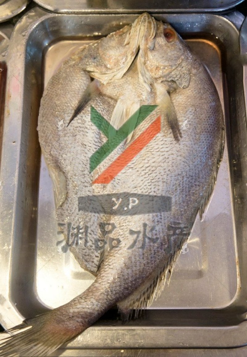 【渊品水产】养马岛海捕鮸鱼白米鱼灰米鱼