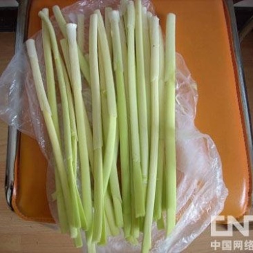 蒲菜