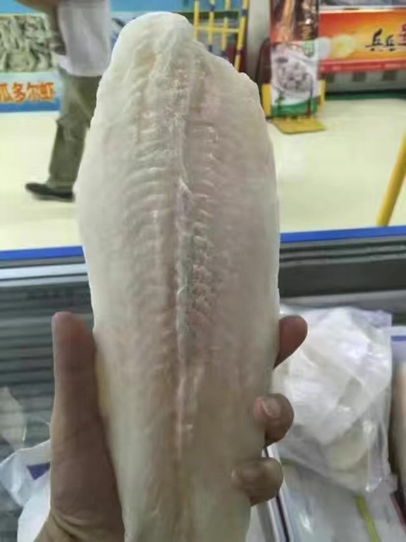 越南进口龙利鱼龙利鱼柳巴沙鱼酸菜鱼、烤鱼饭专用