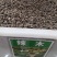 辣木种籽印度进口正宗特级食用辣木树籽辣木子辣木树种子