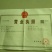 辣木种籽印度进口正宗特级食用辣木树籽辣木子辣木树种子
