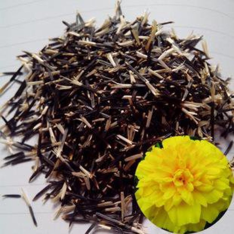孔雀草种子观赏庭院阳台盆栽花卉景观绿化小万寿菊花种子