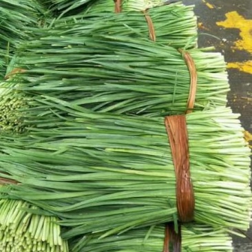 韭菜，精品韭菜，现已大量上市中，大量长期供货，欢迎订购