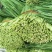 韭菜，精品韭菜，现已大量上市中，大量长期供货，欢迎订购