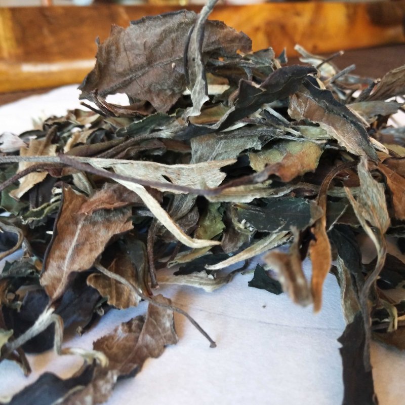 凤庆荒野白茶花香毫香甜味好