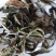 凤庆荒野白茶花香毫香甜味好