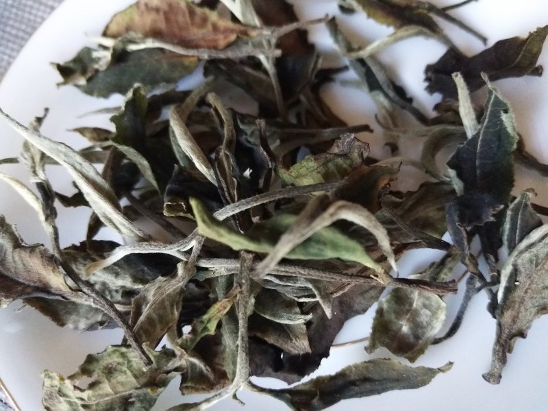 凤庆荒野白茶花香毫香甜味好