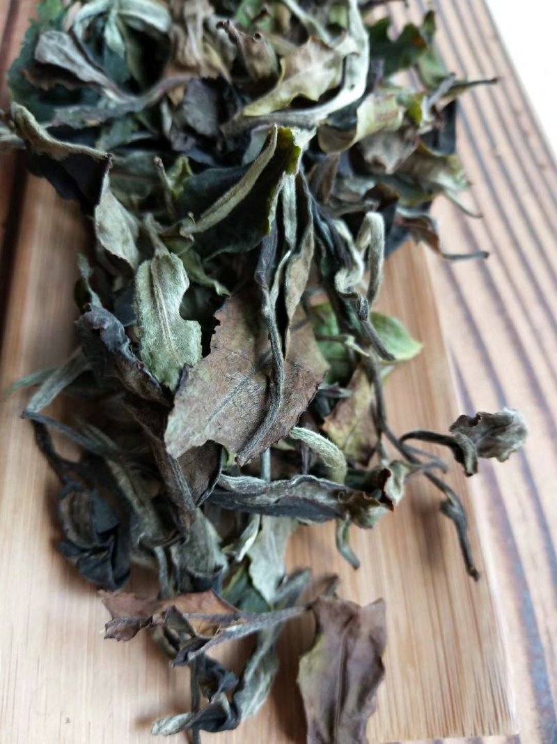 凤庆荒野白茶花香毫香甜味好