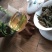 凤庆荒野白茶花香毫香甜味好