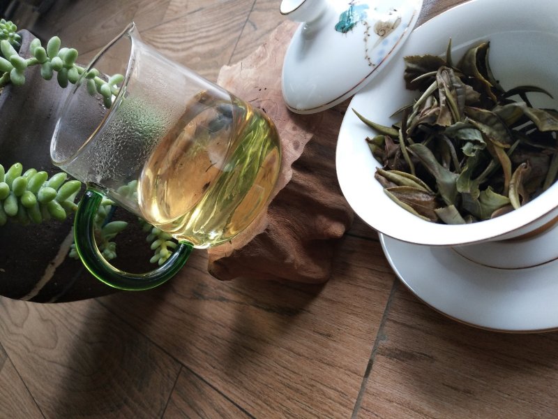 凤庆荒野白茶花香毫香甜味好