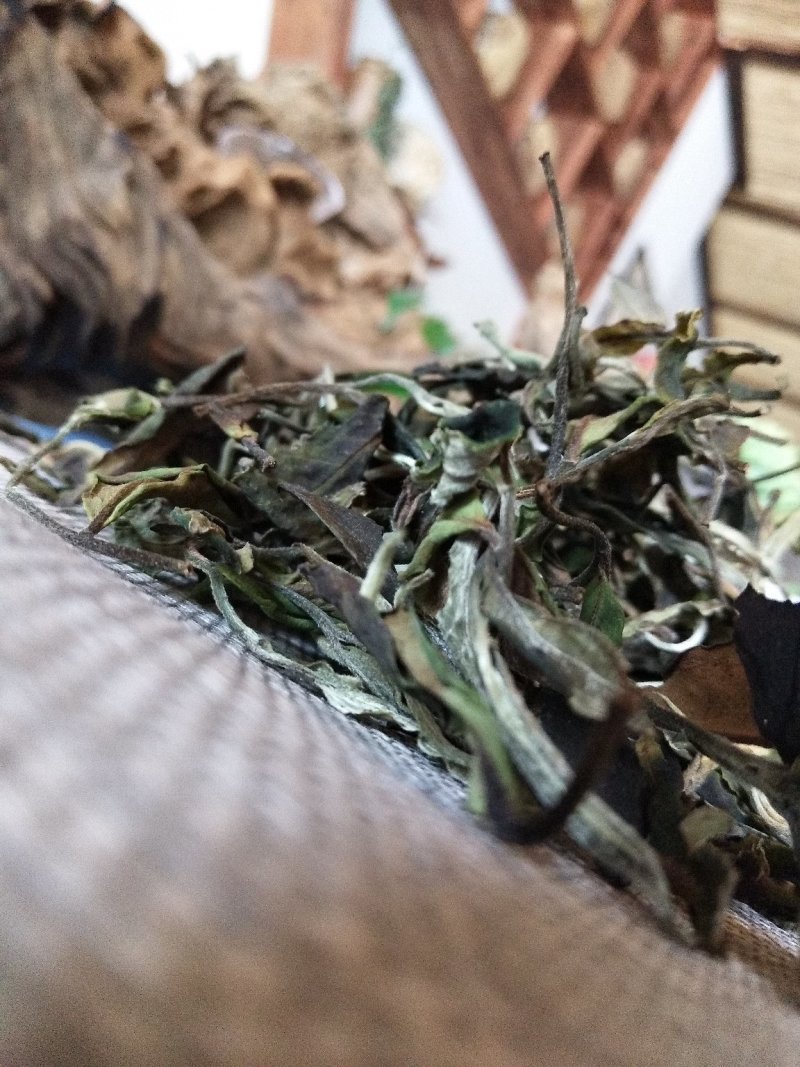 凤庆荒野白茶花香毫香甜味好