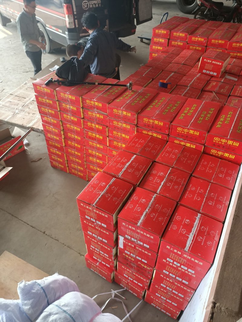 万荣纸加膜红富士苹果口感脆甜一手货源量大从优