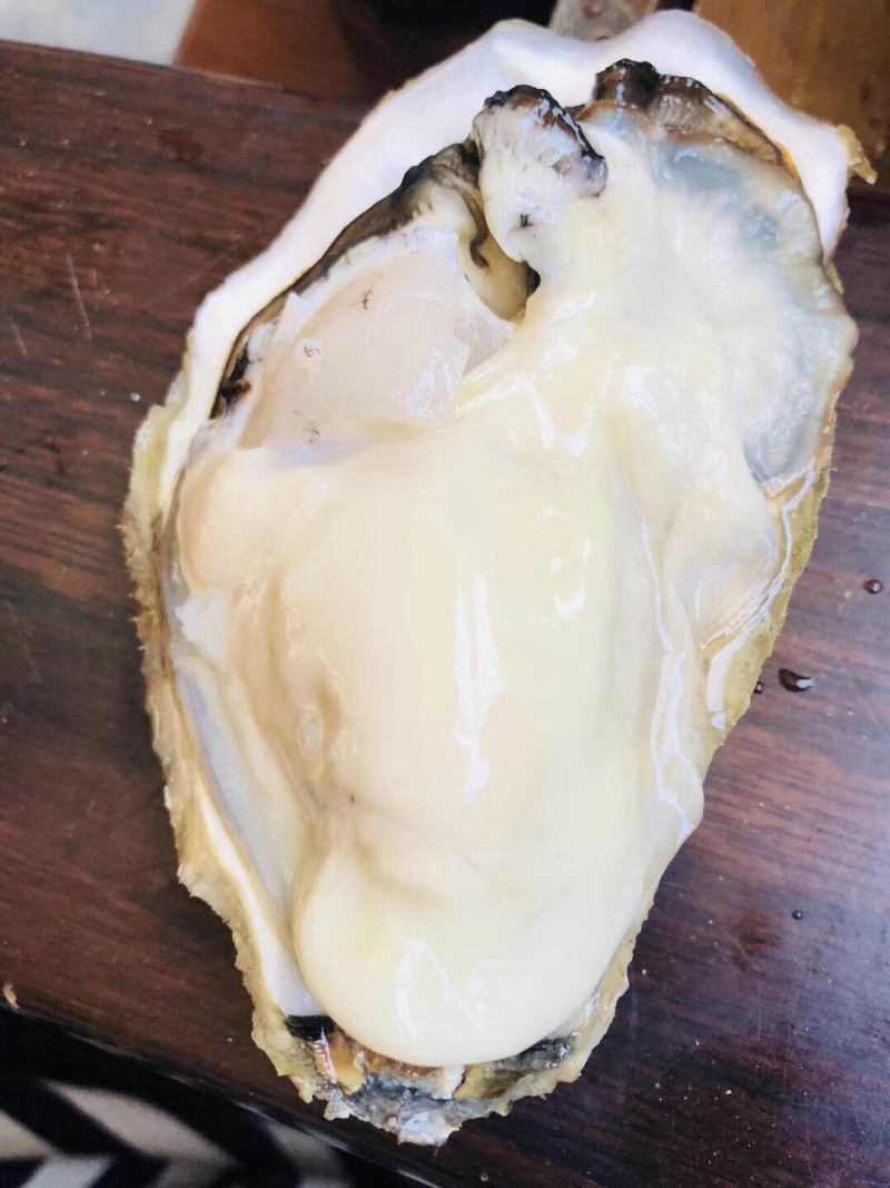 乳山黄金牡蛎