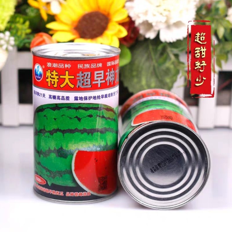 特大早熟西瓜种子椭圆花皮红心皮薄耐裂超早神龙原装千粒水果