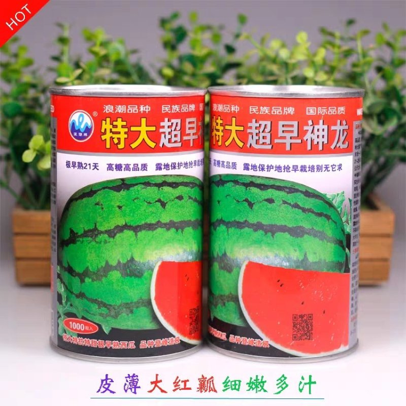 特大早熟西瓜种子椭圆花皮红心皮薄耐裂超早神龙原装千粒水果