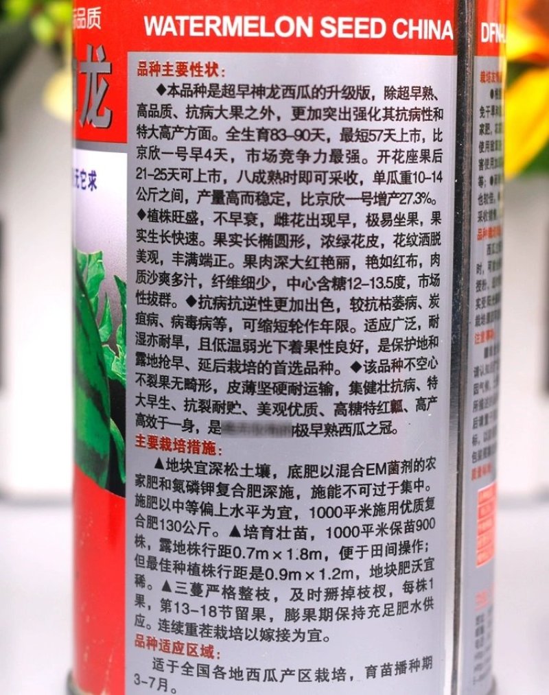 特大早熟西瓜种子椭圆花皮红心皮薄耐裂超早神龙原装千粒水果