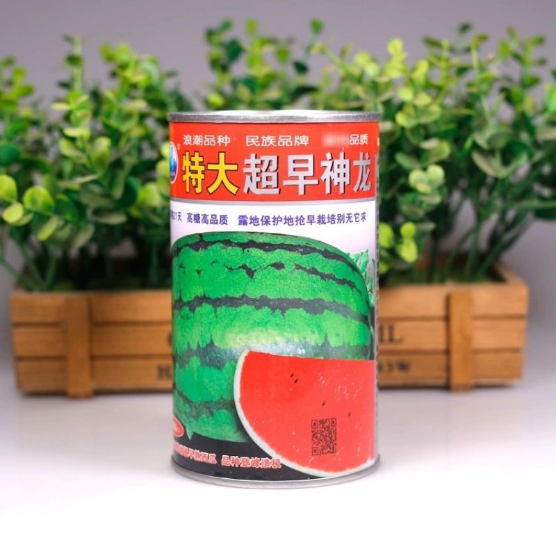 特大早熟西瓜种子椭圆花皮红心皮薄耐裂超早神龙原装千粒水果