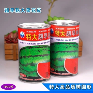 特大早熟西瓜种子椭圆花皮红心皮薄耐裂超早神龙原装千粒水果