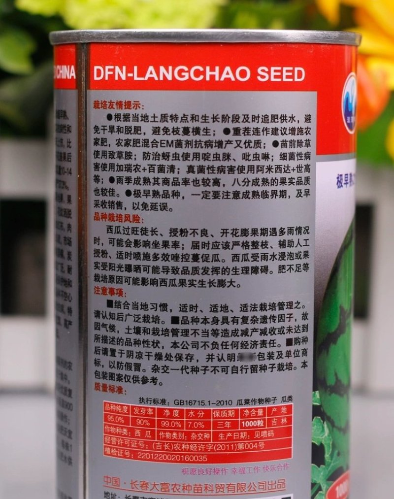 特大早熟西瓜种子椭圆花皮红心皮薄耐裂超早神龙原装千粒水果
