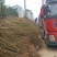 蜂糖李苗产地直供免费技术指导支持线上保障交易